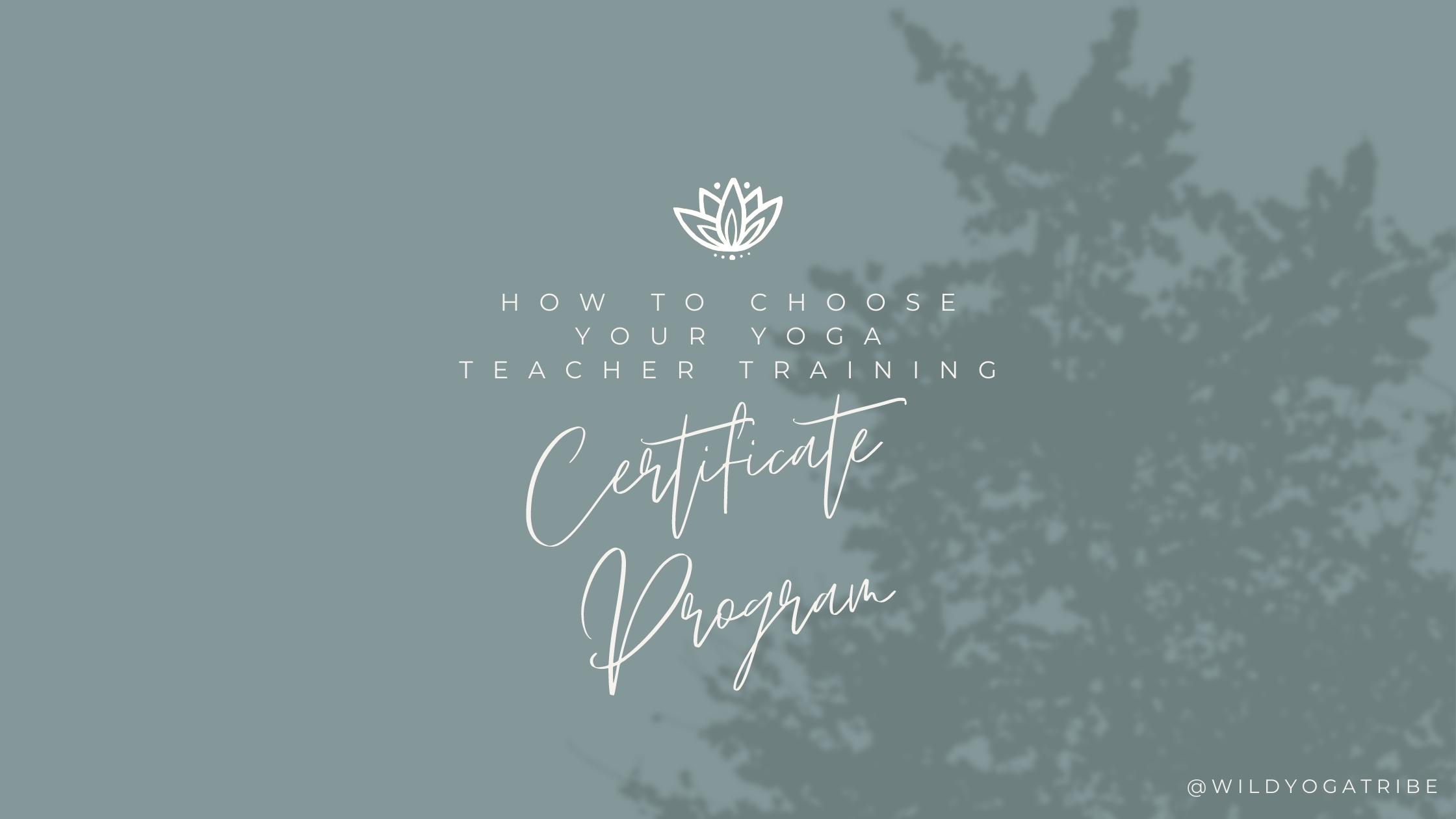 How To Choose Your Yoga Teacher Training Certification Program