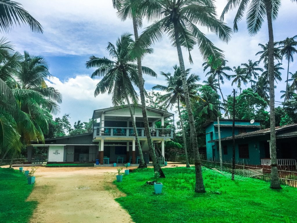 Mellow Hostel Yoga Sri Lanka