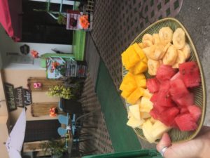 Wellnessland Health Institute