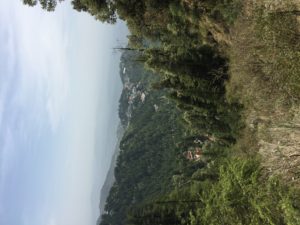 Dharamsala Views