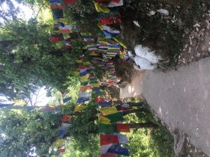 Dharamsala Views Prayer Flags Dalai Lama