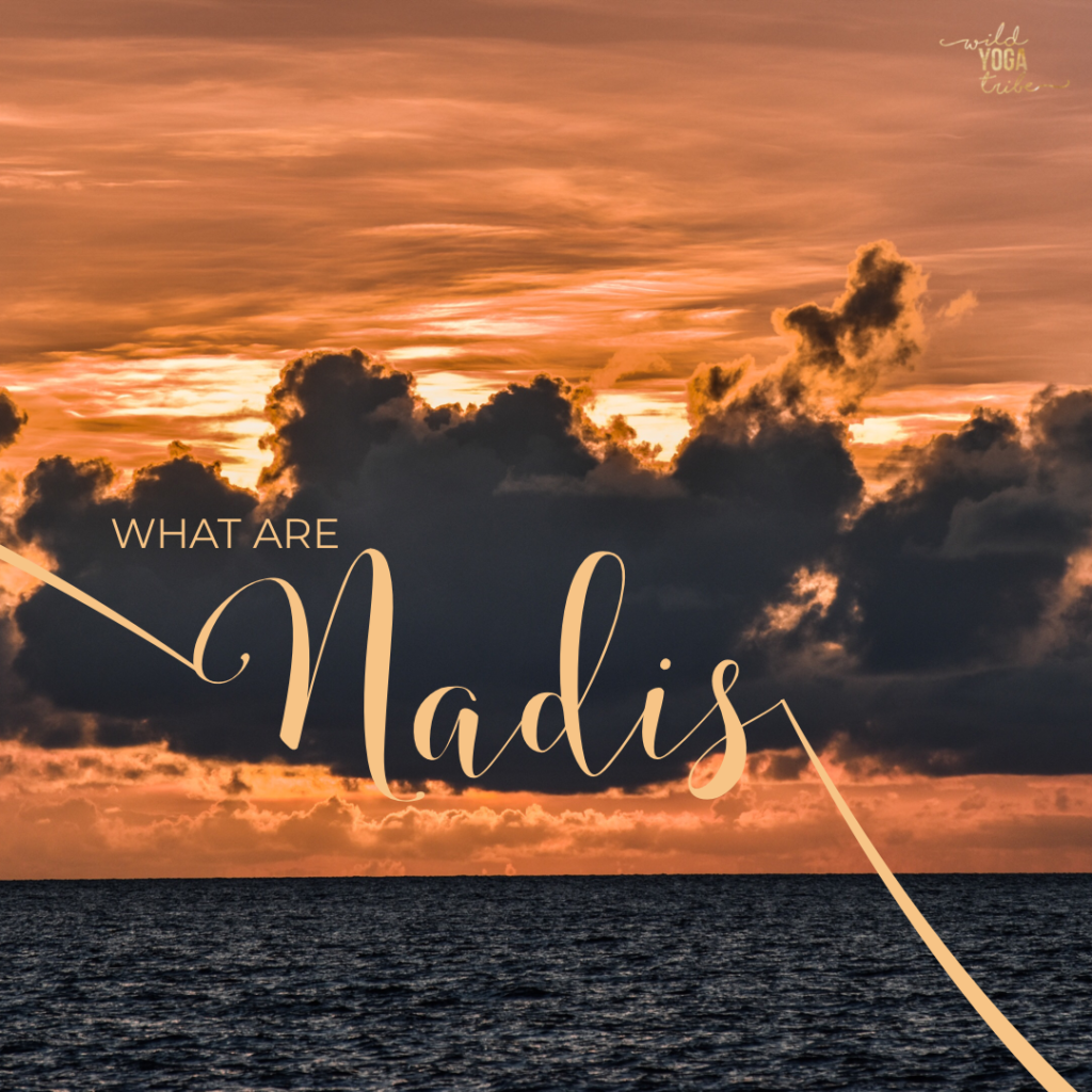 What Are Nadis?