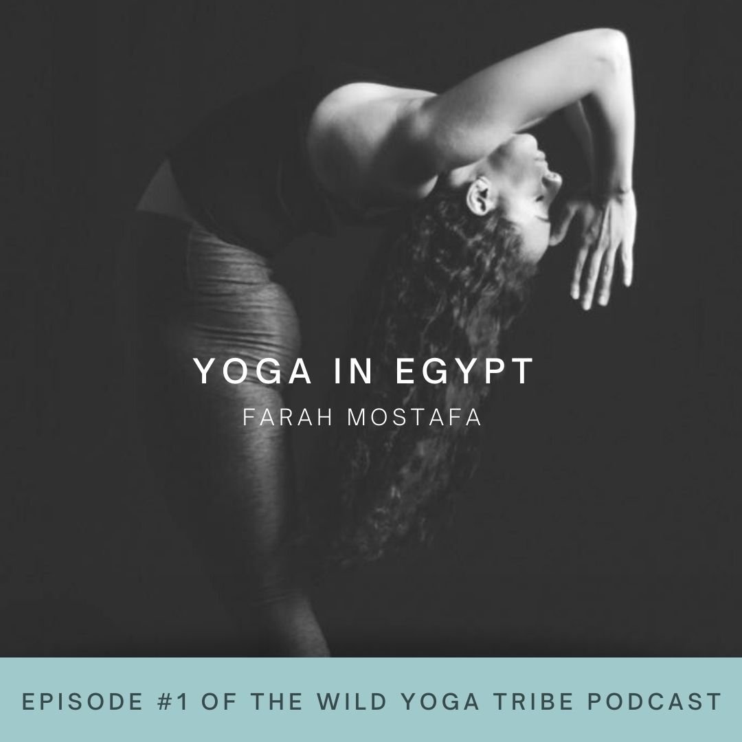 yoga egypt egyptyoga egyptianyoga yoga retreats egypt cairo yoga