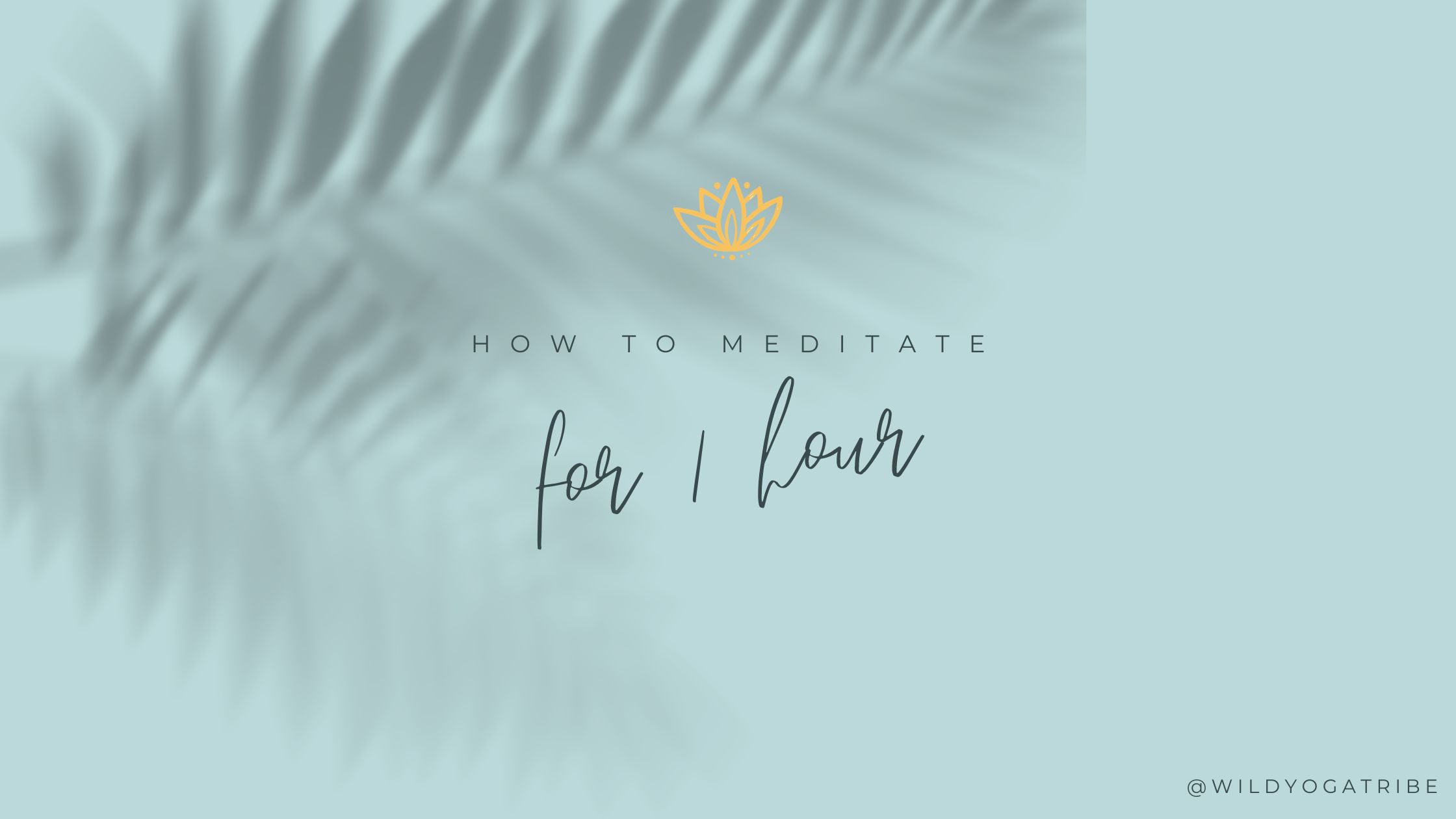 How to Meditate for One Hour