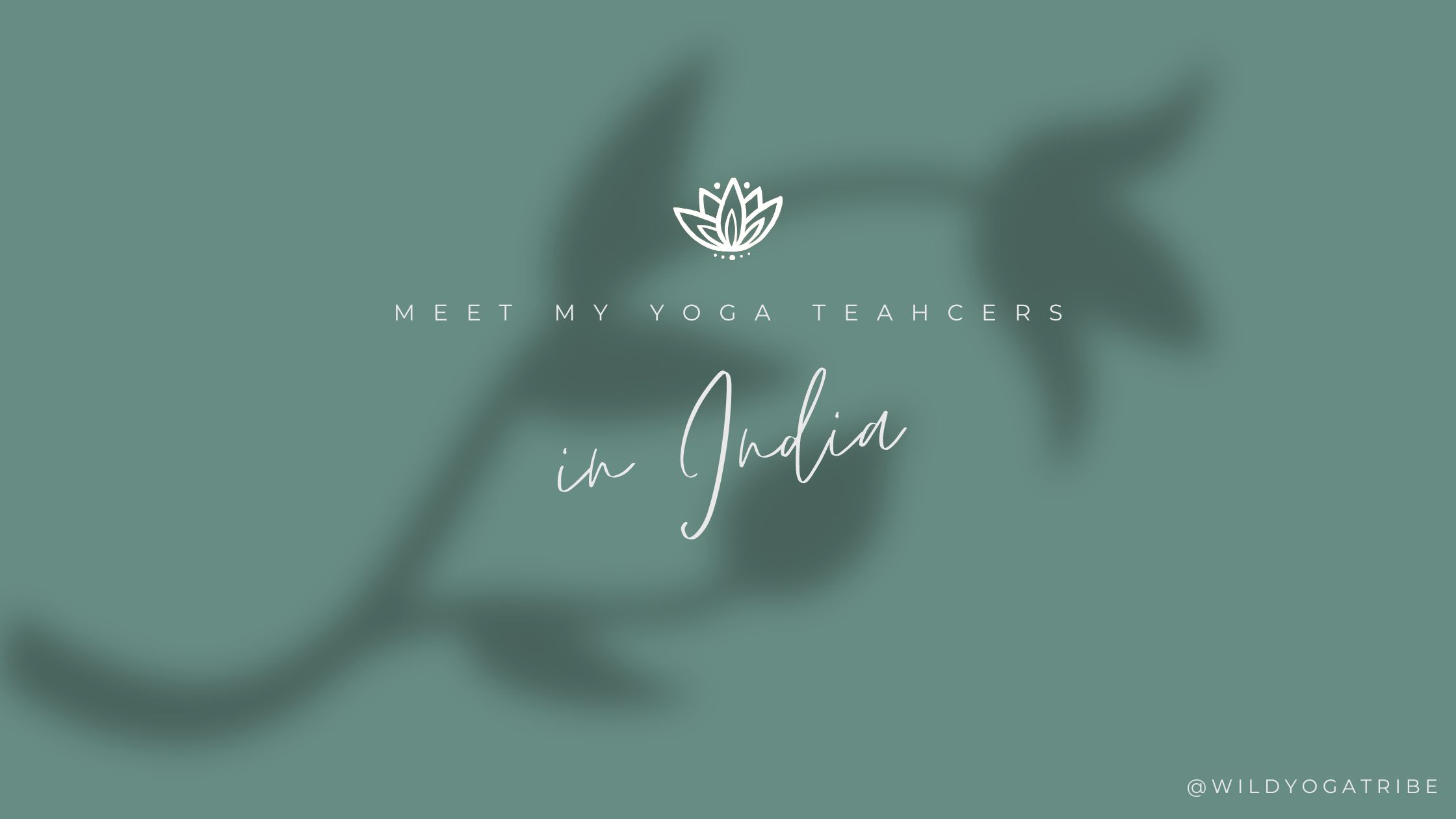 My Yoga Teachers in India