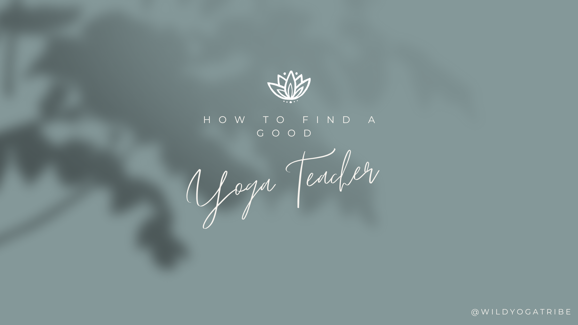 How to Find a Good Yoga Teacher